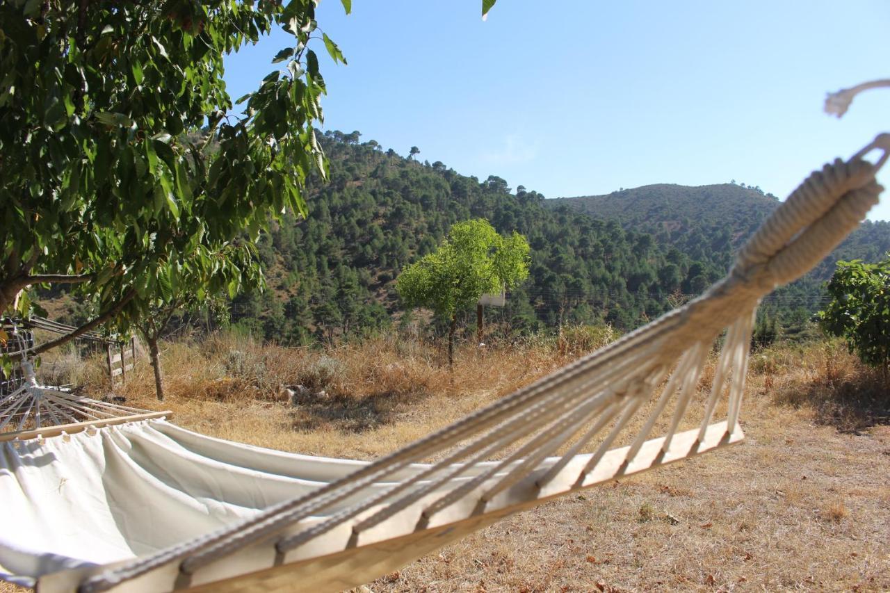 Esencia Lodge - Luxurious Off-Grid Cabin Retreat Almuñécar Eksteriør bilde