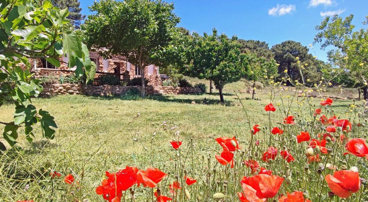 Esencia Lodge - Luxurious Off-Grid Cabin Retreat Almuñécar Eksteriør bilde